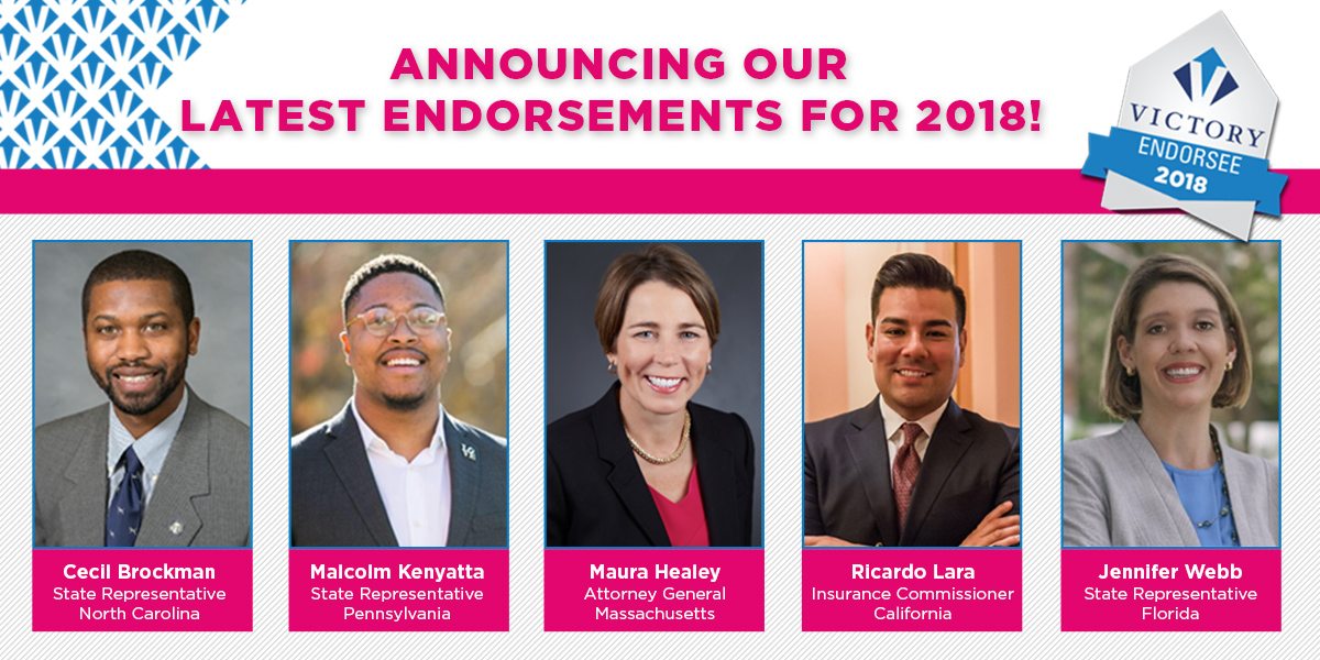 Victory Fund Endorses 14 More Lgbtq Candidates For 2018 Including Lupe Valdez For Texas 7435