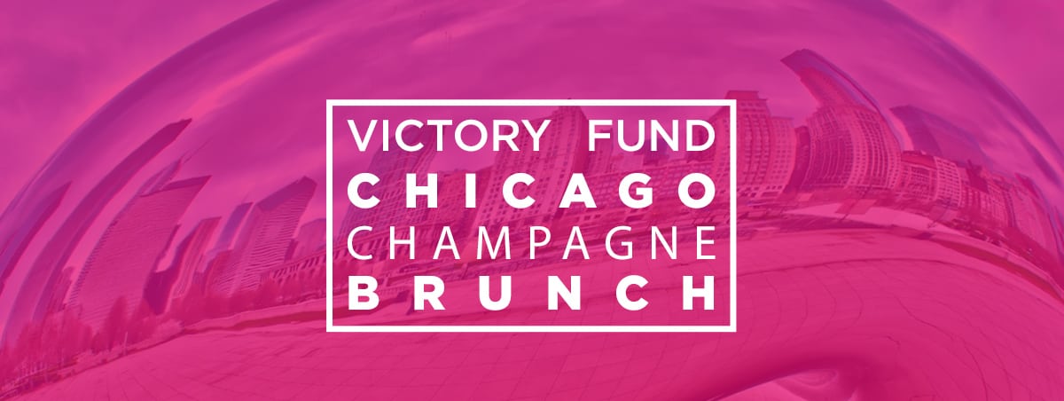 Chicago Pink Banner with white text that reads "Victory Fund Chicago Champagne Brunch" with the skyline in the background.